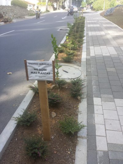 cultural differences between medellín, colombia and the usa